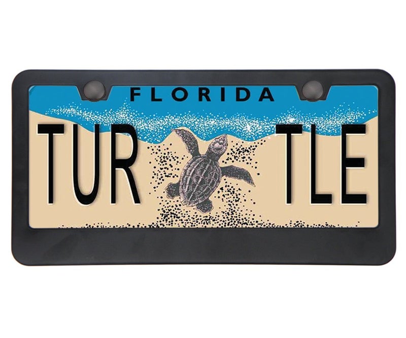 BIGANT Car License Plate Frame - Matte Stainless Steel License Plate Covers with Free Screws Fasteners + Black Screw Caps (2 Pack-Black) - Image 5